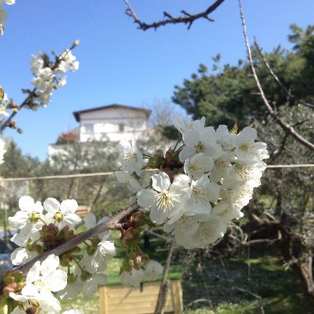 Bed and Breakfast Via col Vento Chieti Esterno foto