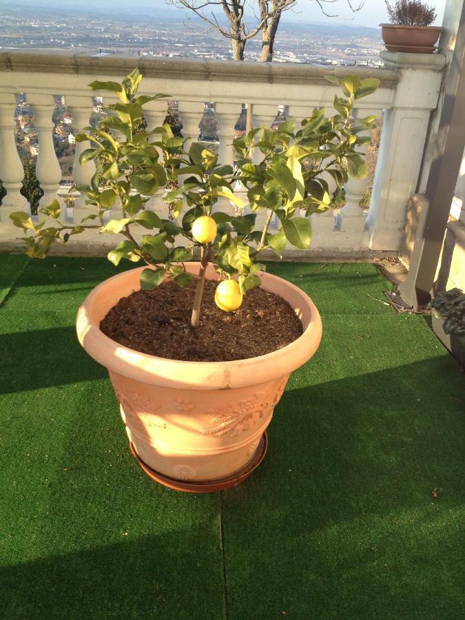 Bed and Breakfast Via col Vento Chieti Esterno foto