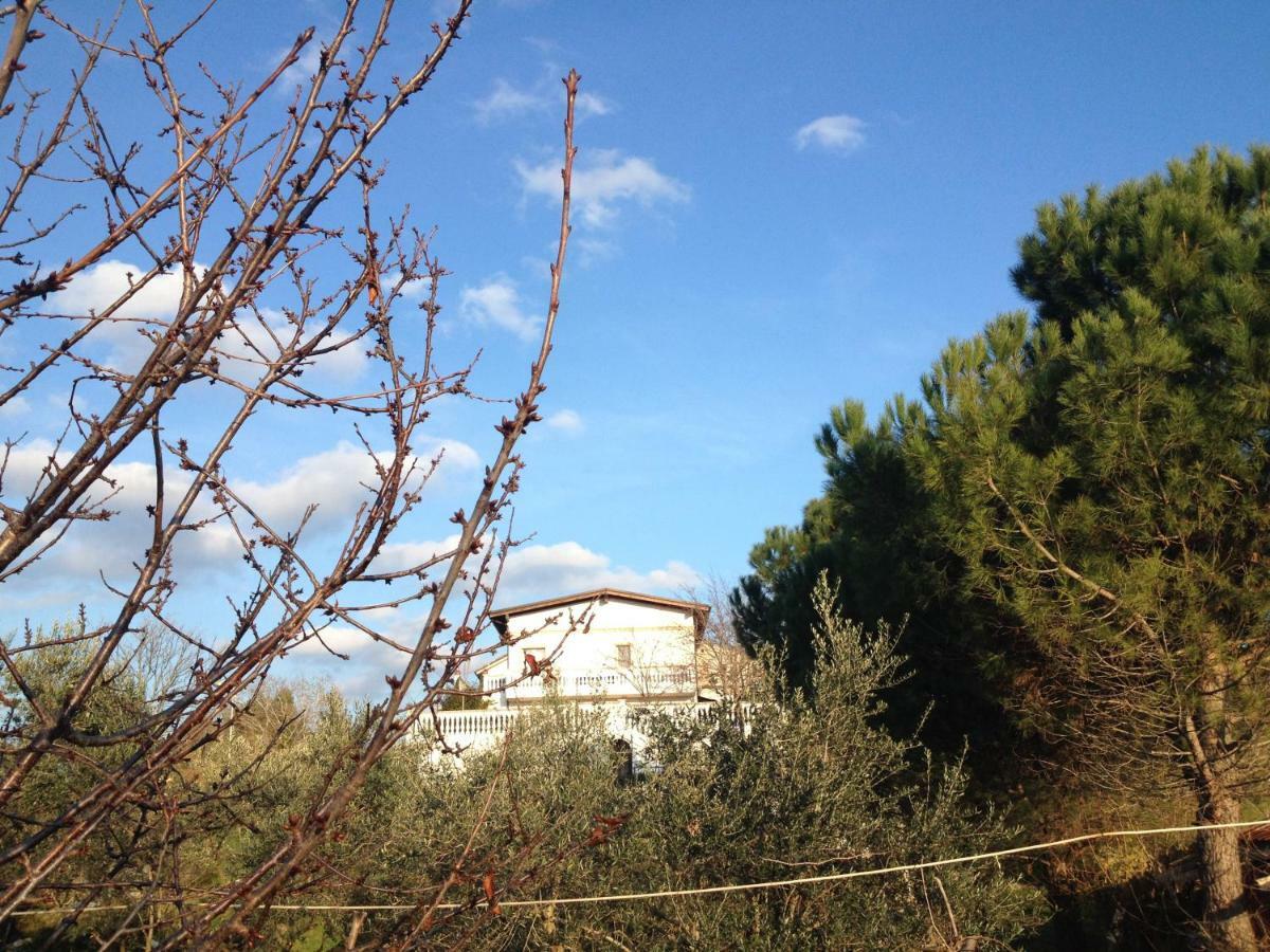 Bed and Breakfast Via col Vento Chieti Esterno foto
