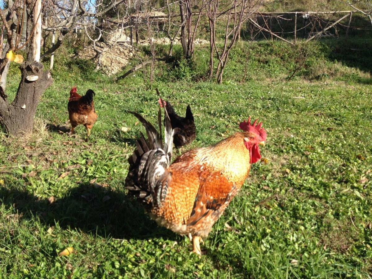 Bed and Breakfast Via col Vento Chieti Esterno foto