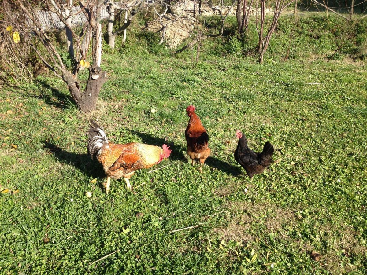 Bed and Breakfast Via col Vento Chieti Esterno foto