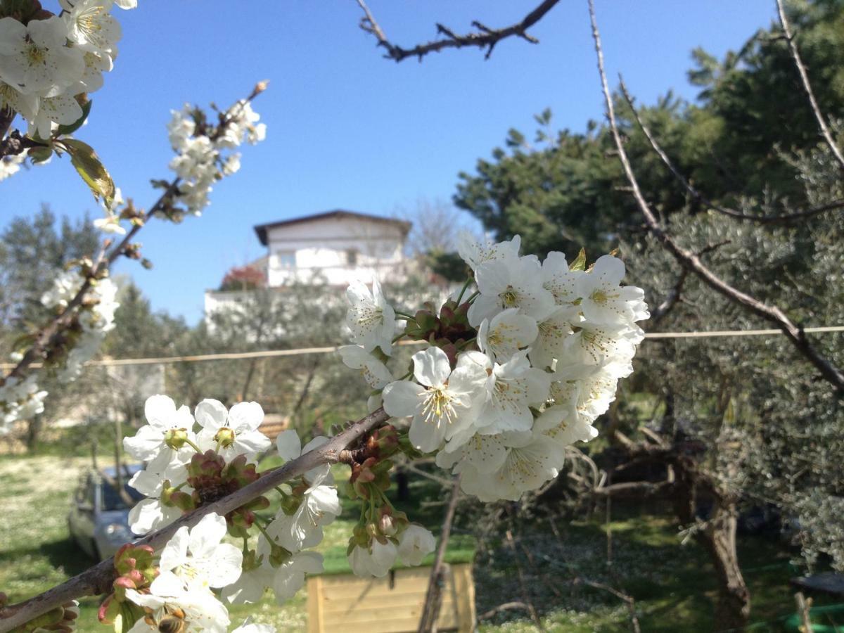 Bed and Breakfast Via col Vento Chieti Esterno foto